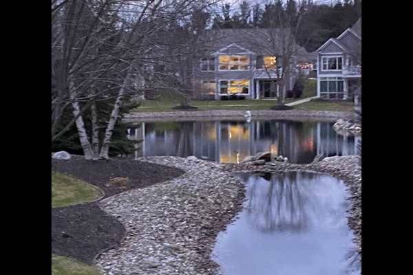 House sit in Grand Rapids, MI, US