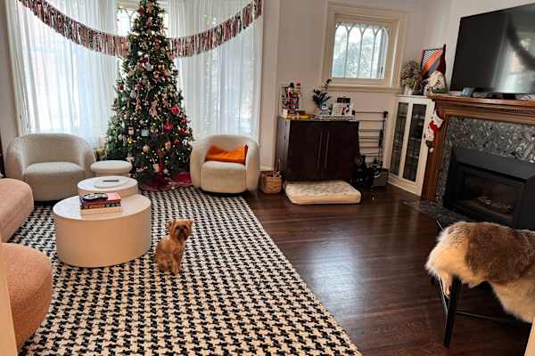 House sit in Westmount, QC, Canada