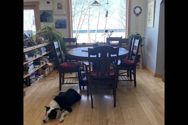 House sit in Calumet, MI, US