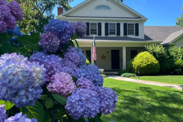 House sit in Mamaroneck, NY, US