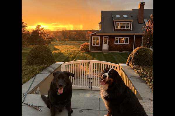 House sit in Millbrook, NY, US