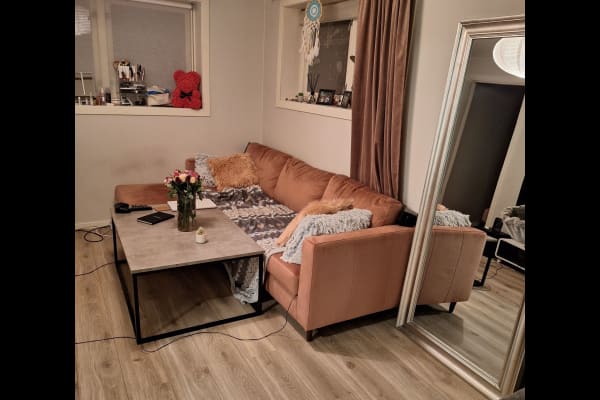 House sit in Oslo, Norway