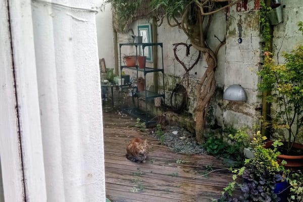 House sit in Brighton, United Kingdom