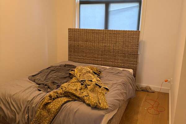 House sit in Voorhout, Netherlands