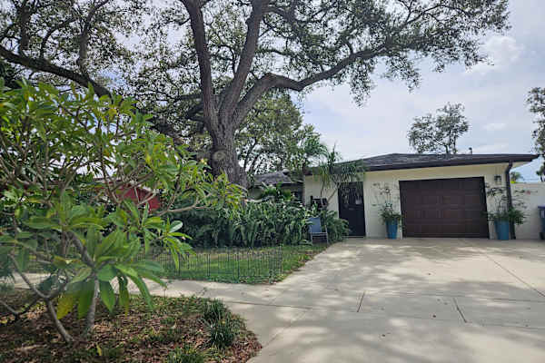 House sit in St. Petersburg, FL, US