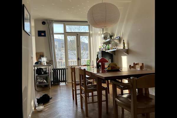 House sit in Amsterdam, Netherlands