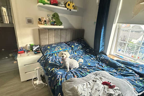 House sit in Tallaght, Ireland