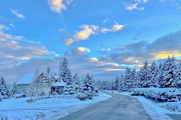 House sit in Fairmont Hot Springs, BC, Canada