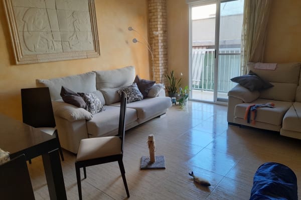 House sit in Elche, Spain