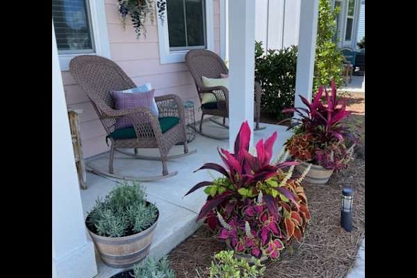 House sit in North Myrtle Beach, SC, US