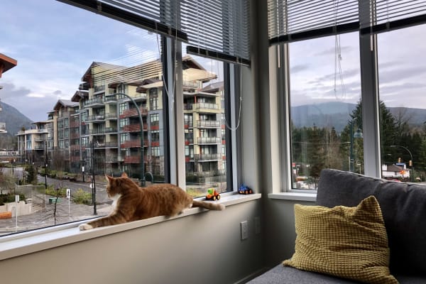 House sit in North Vancouver, BC, Canada