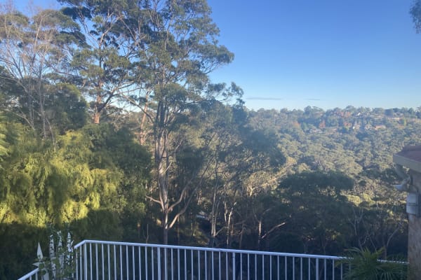 House sit in Turramurra, NSW, Australia