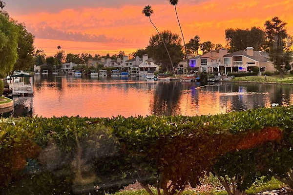 House sit in Irvine, CA, US