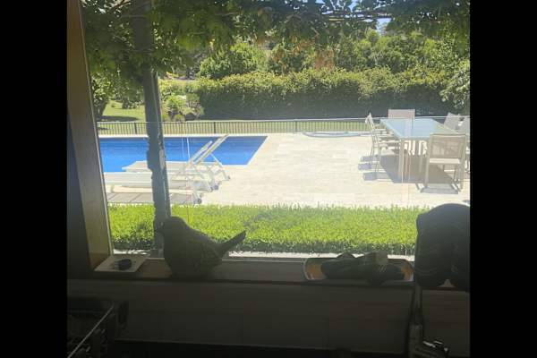 House sit in Central Coast, NSW, Australia