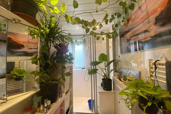 House sit in Berlin, Germany