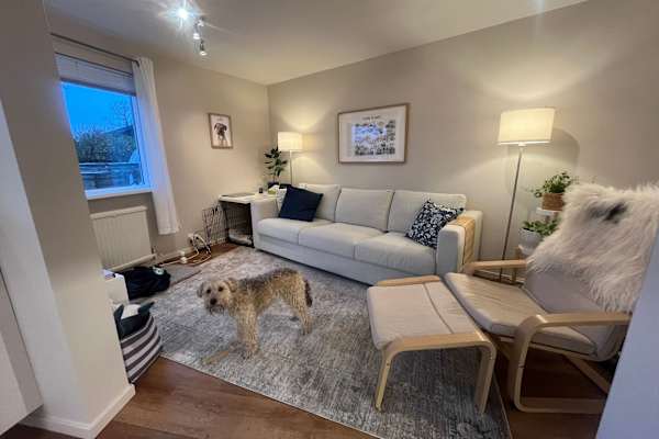 House sit in Kópavogur, Iceland