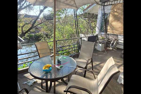 House sit in Chiang Mai, Thailand