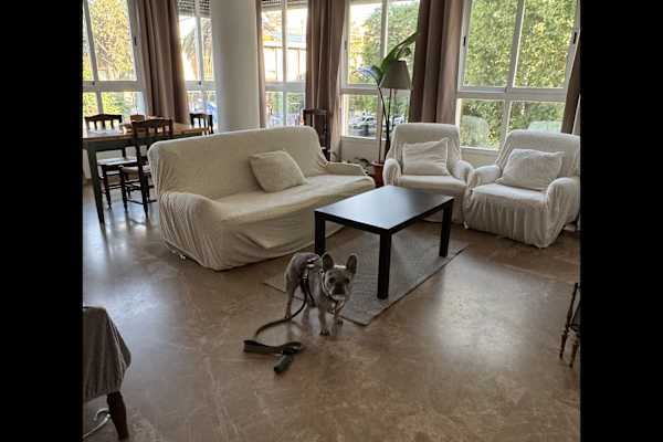 House sit in Valencia, Spain
