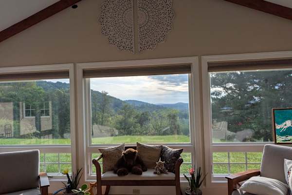 House sit in Washington, VA, US