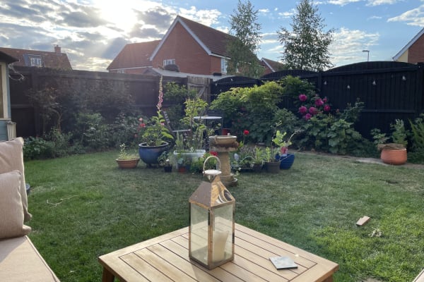 House sit in Saint Neots, United Kingdom