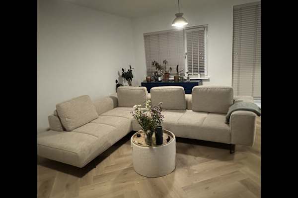 House sit in Amsterdam, Netherlands