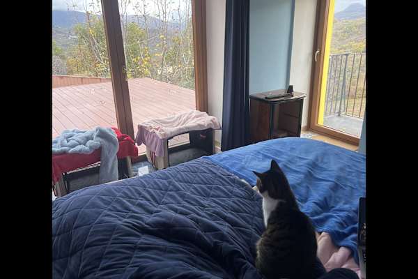 House sit in Gessopalena, Italy