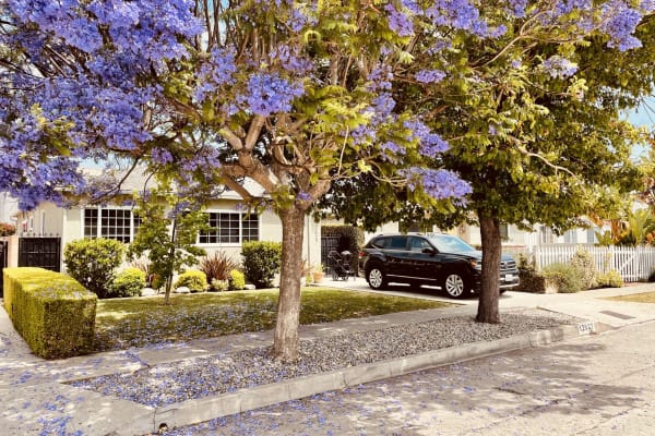 House sit in Marina del Rey, CA, US