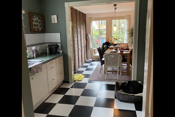 House sit in Doorn, Netherlands