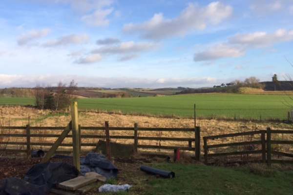 House sit in Glenfarg, United Kingdom