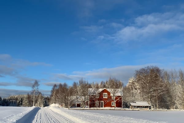 House sit in Vännäs, Sweden