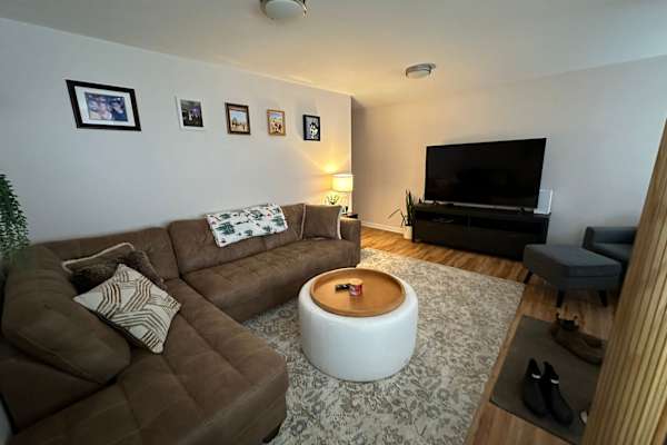 House sit in Burlington, VT, US
