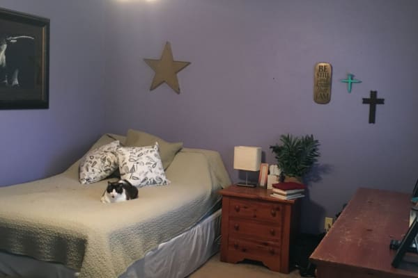 House sit in Austin, TX, US