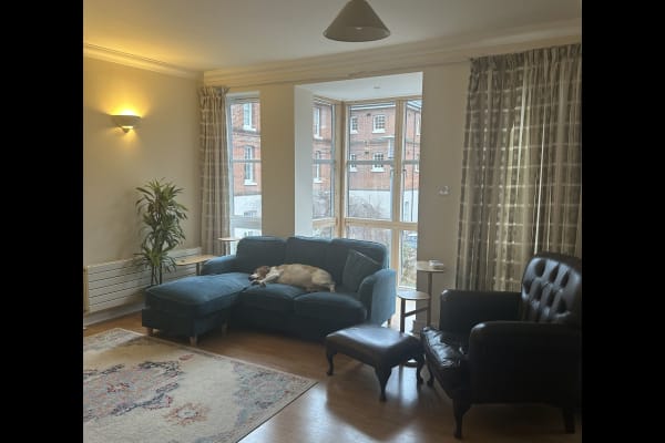 House sit in Winchester, United Kingdom