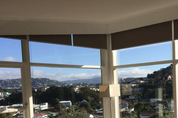 House sit in Wellington, New Zealand