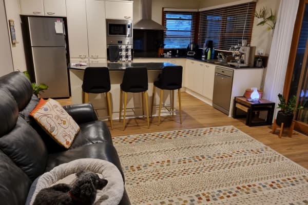 House sit in Newcastle, NSW, Australia