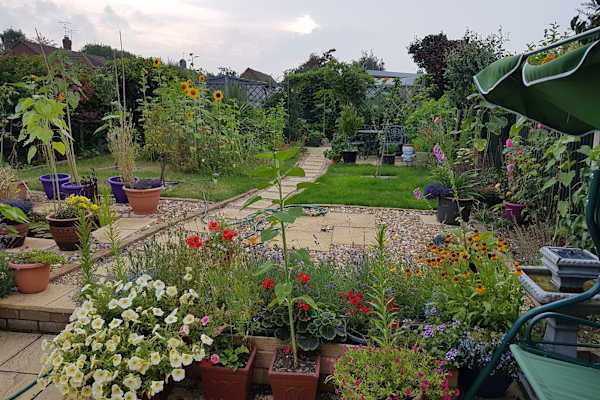 House sit in Maidstone, United Kingdom