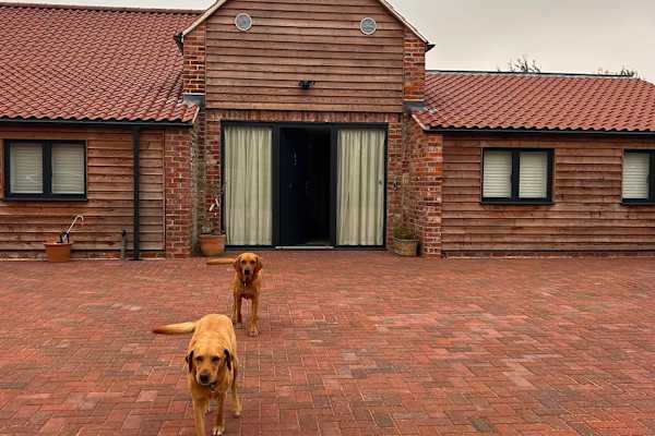 House sit in Warminster, United Kingdom