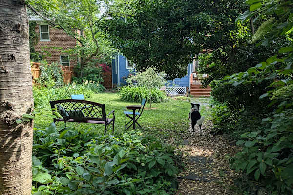 House sit in Richmond, VA, US