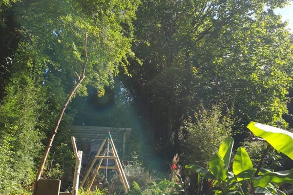 House sit in Caversham, United Kingdom