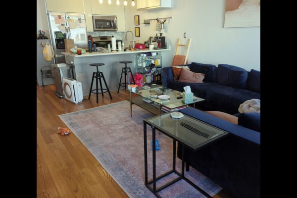 House sit in Brooklyn, NY, US