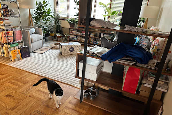 House sit in San Anselmo, CA, US