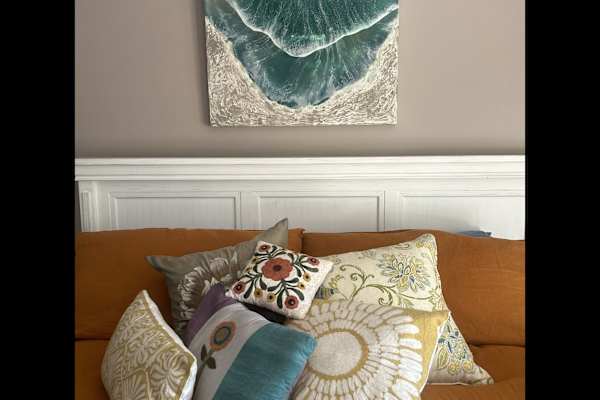 House sit in Encinitas, CA, US