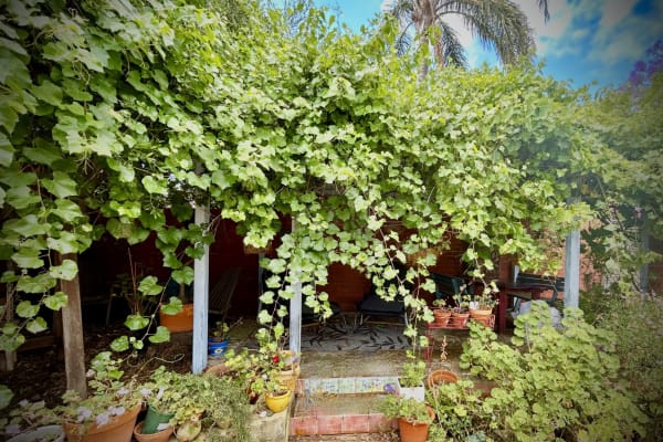 House sit in Fremantle City, WA, Australia