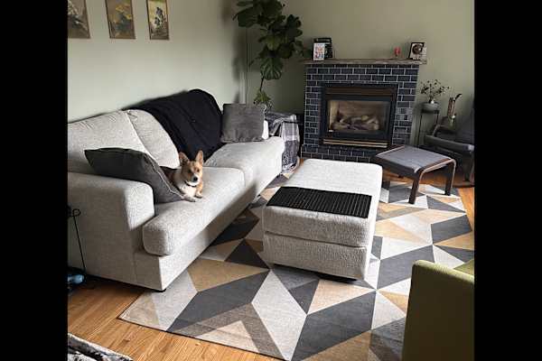 House sit in St. Catharines, ON, Canada