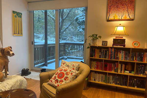 House sit in Toronto, ON, Canada