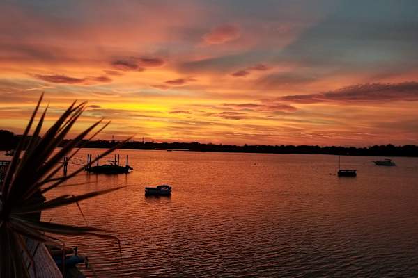 House sit in Newport, RI, US