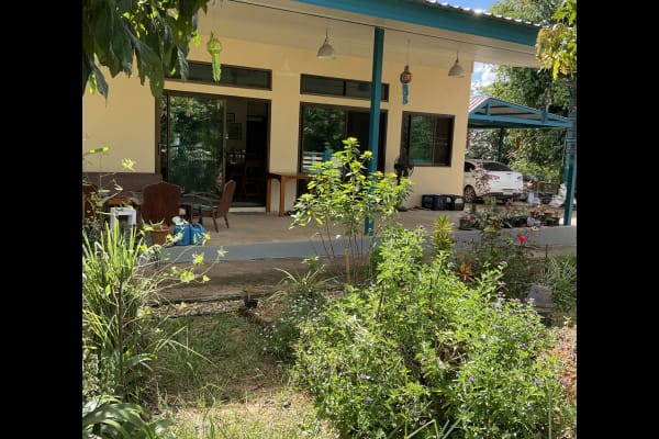 House sit in Nan, Thailand