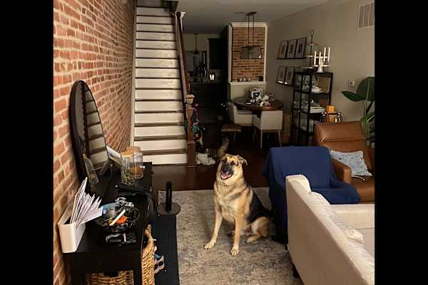 House sit in Highlandtown, MD, US