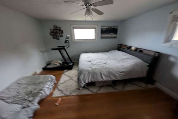 House sit in Leominster, MA, US