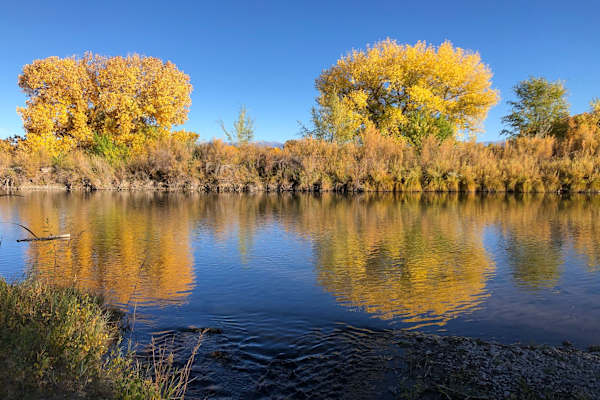 House sit in Ohkay Owingeh, NM, US